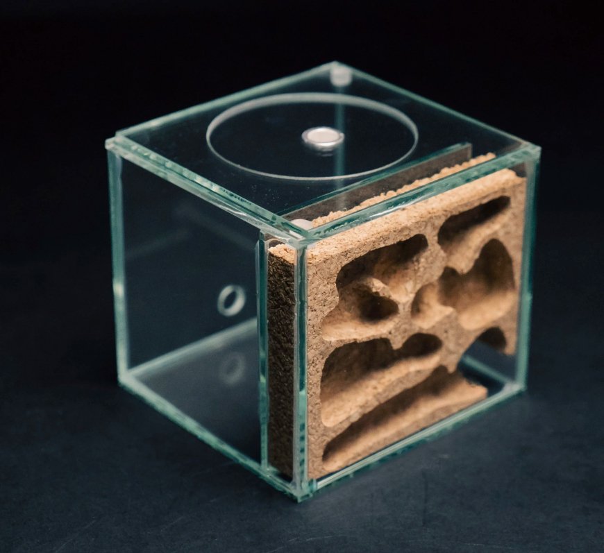 Cork Nest