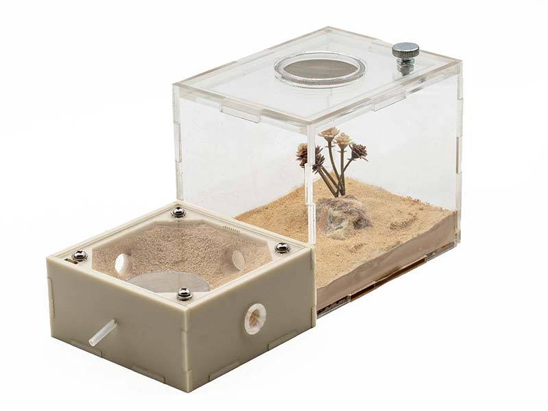 Gypsum-Acrylic Nest