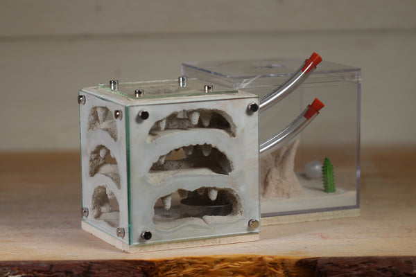 3D-Printed Water-Tower Nest
